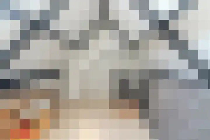 Hof 72 Dongen thumbnail 65