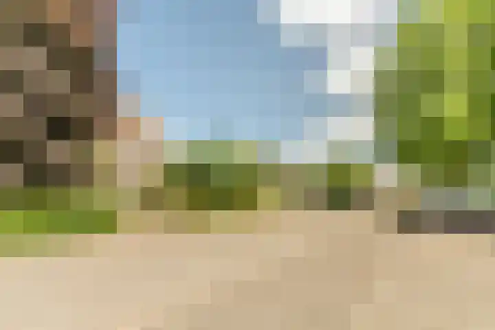Hof 72 Dongen thumbnail 66