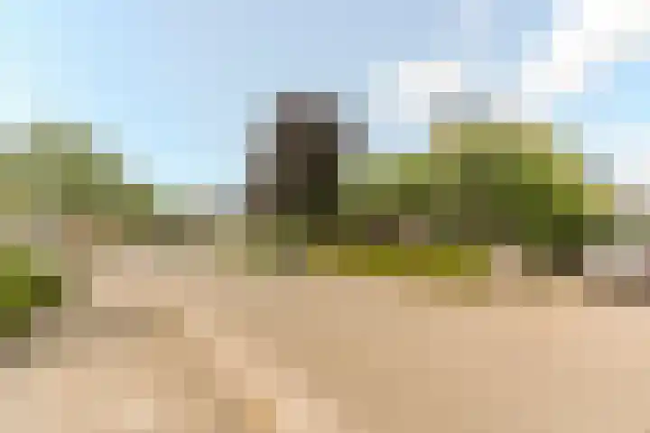 Hof 72 Dongen thumbnail 67