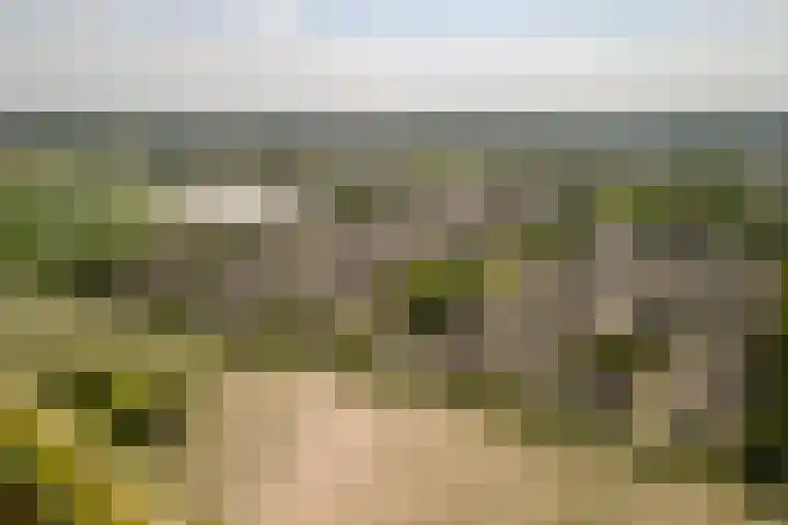 Hof 72 Dongen thumbnail 71