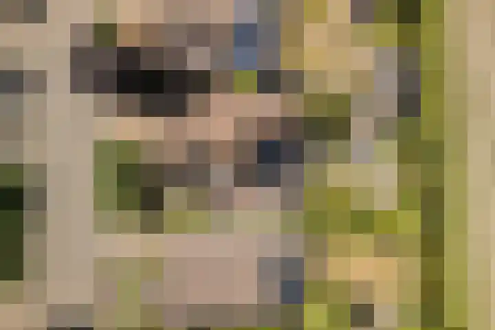 Hof 72 Dongen thumbnail 74