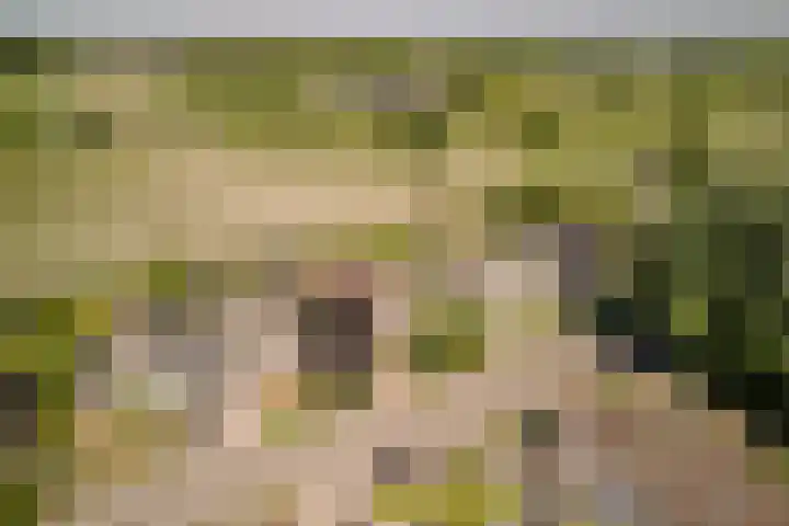 Hof 72 Dongen thumbnail 75