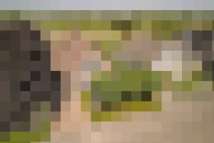Hof 72 Dongen thumbnail 77