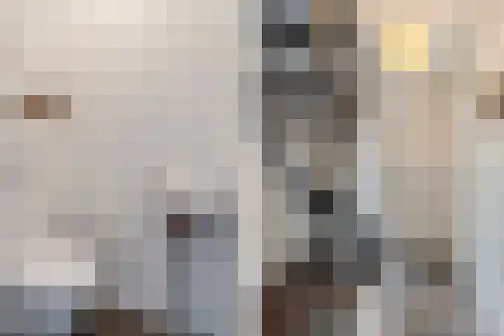 Hof 72 Dongen thumbnail 9