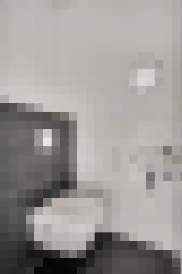 Hof te Berkel 2 Horst thumbnail 13