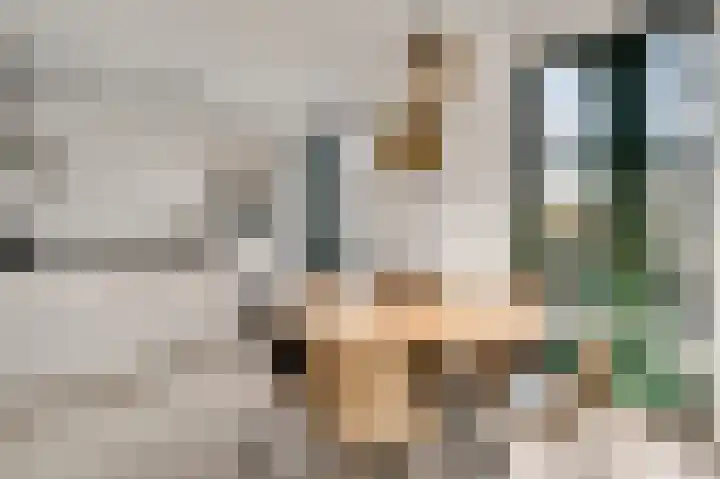 Hof te Berkel 2 Horst thumbnail 19