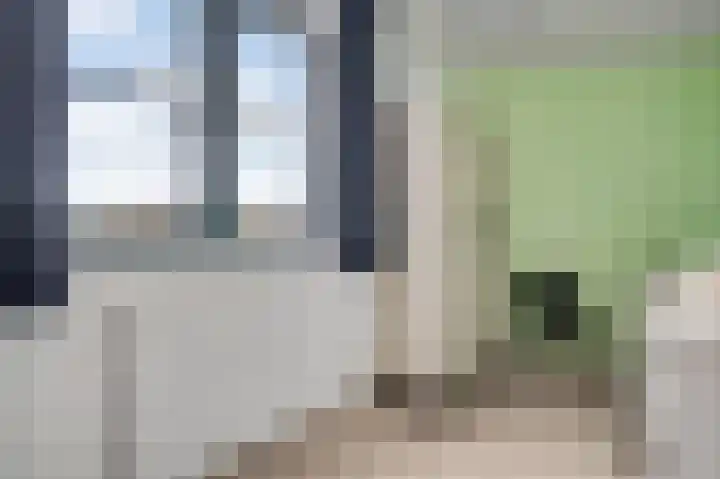 Hof te Berkel 2 Horst thumbnail 27