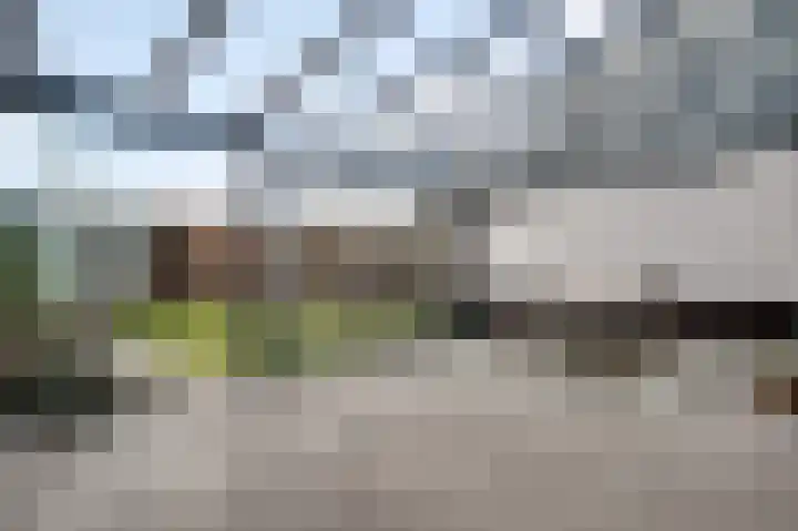 Hof te Berkel 2 Horst thumbnail 33