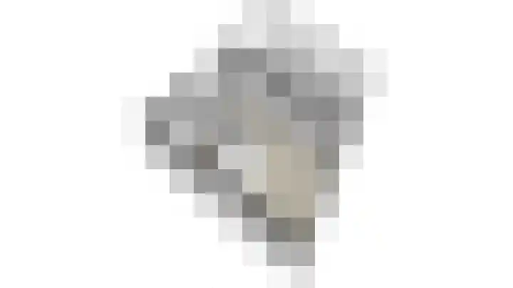 Hof te Berkel 2 Horst thumbnail 40