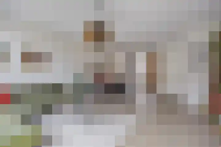Hof ter Dreef 4 Breda thumbnail 13
