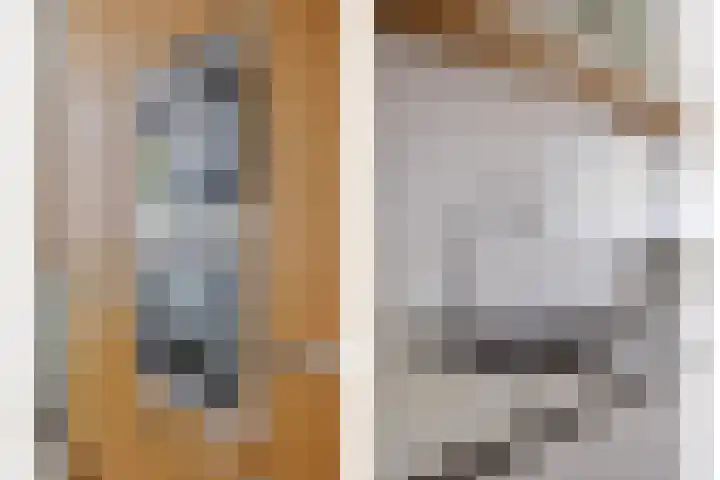 Hof ter Dreef 4 Breda thumbnail 18