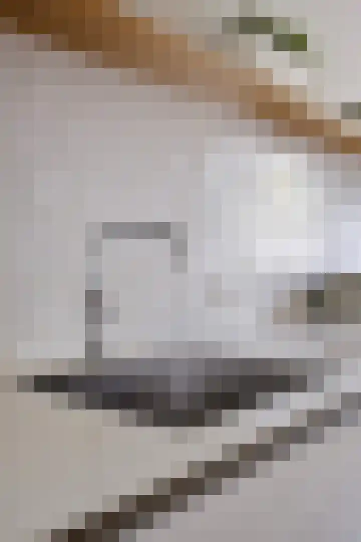 Hof ter Dreef 4 Breda thumbnail 19