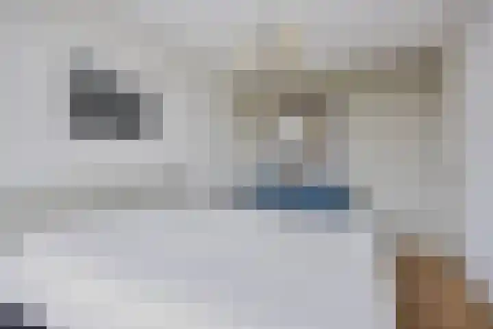Hof ter Dreef 4 Breda thumbnail 23