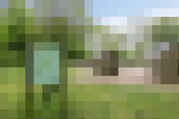Hof ter Dreef 4 Breda thumbnail 45