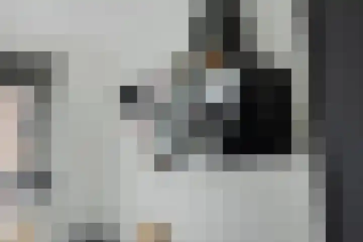 Hof van Fort 2 Oss thumbnail 18
