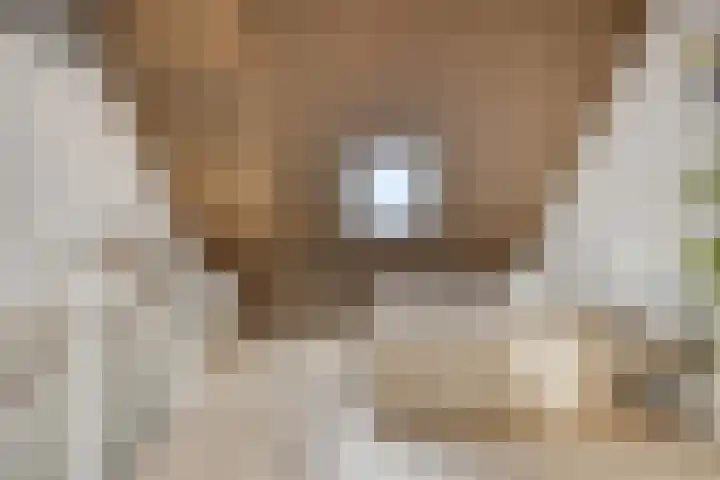 Hof van Fort 2 Oss thumbnail 29