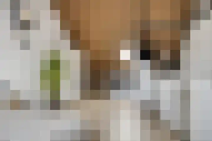 Hof van Fort 2 Oss thumbnail 30