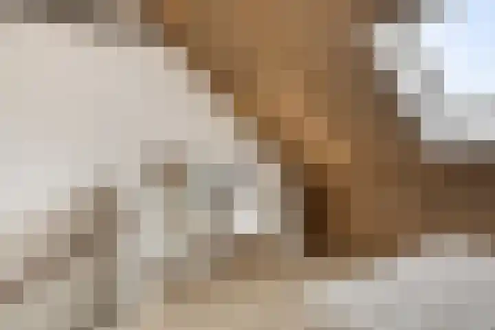 Hof van Fort 2 Oss thumbnail 31