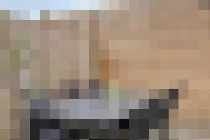 Hof van Fort 2 Oss thumbnail 34