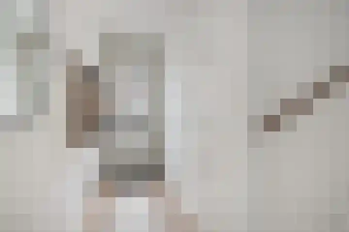 Hof van Fort 2 Oss thumbnail 6