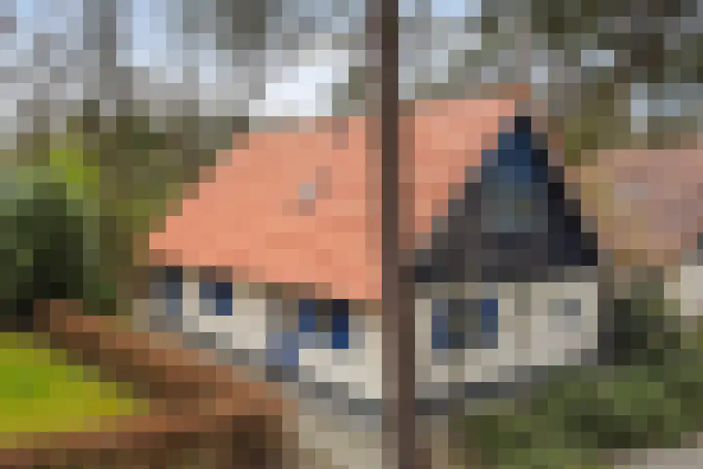 Hof van Halenweg 2 148 in Hooghalen