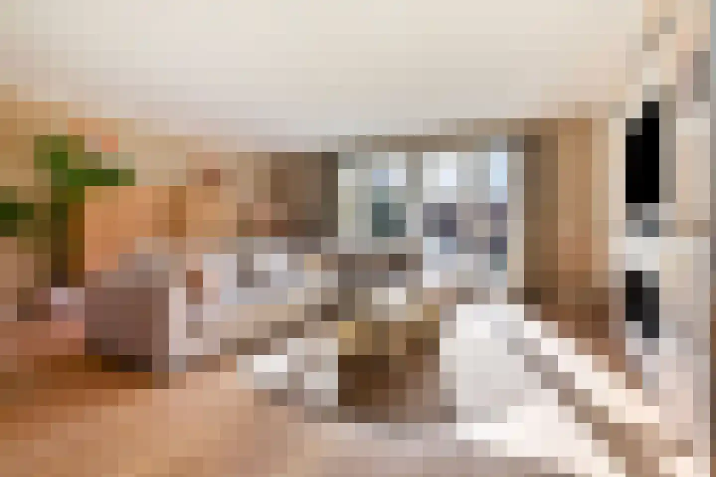 Hof van Leiden 16 Nootdorp thumbnail 11