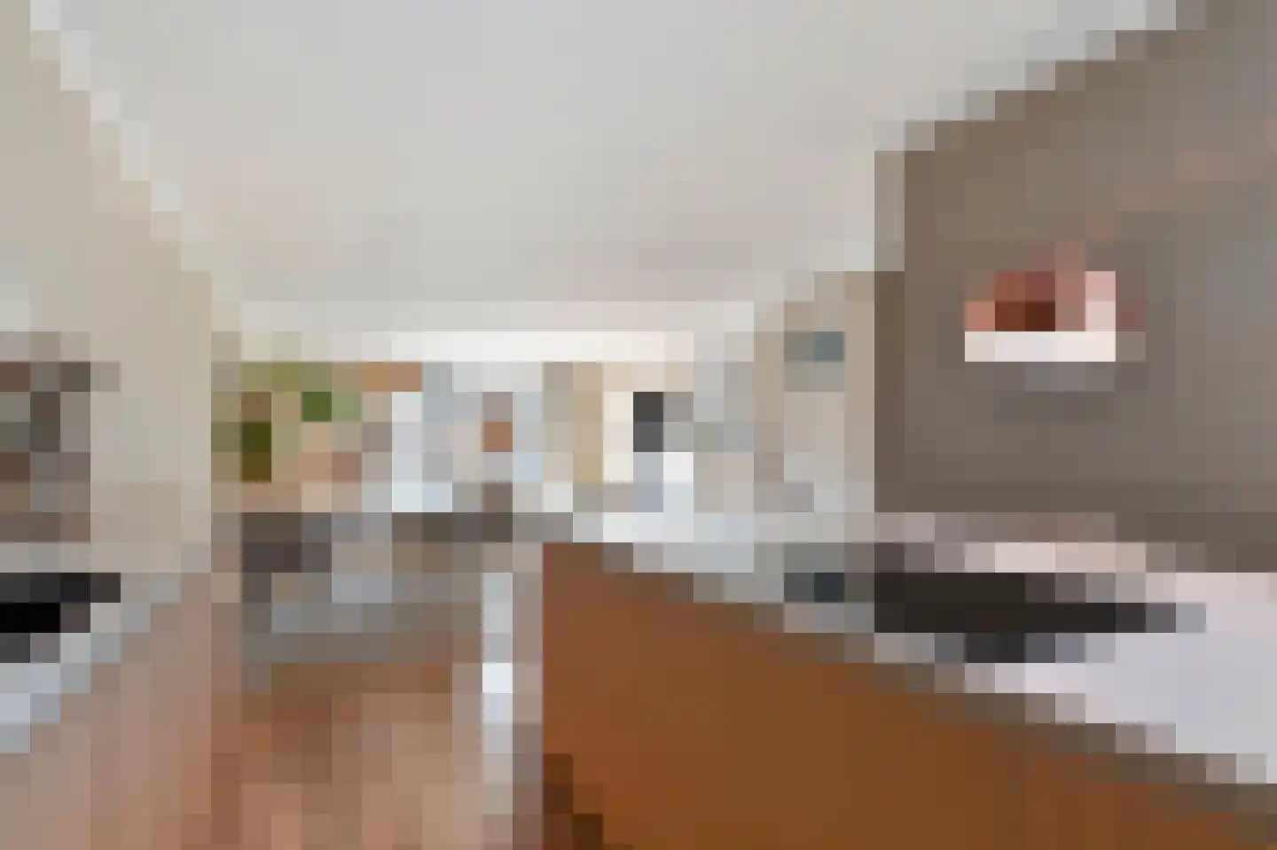 Hof van Leiden 16 Nootdorp thumbnail 27
