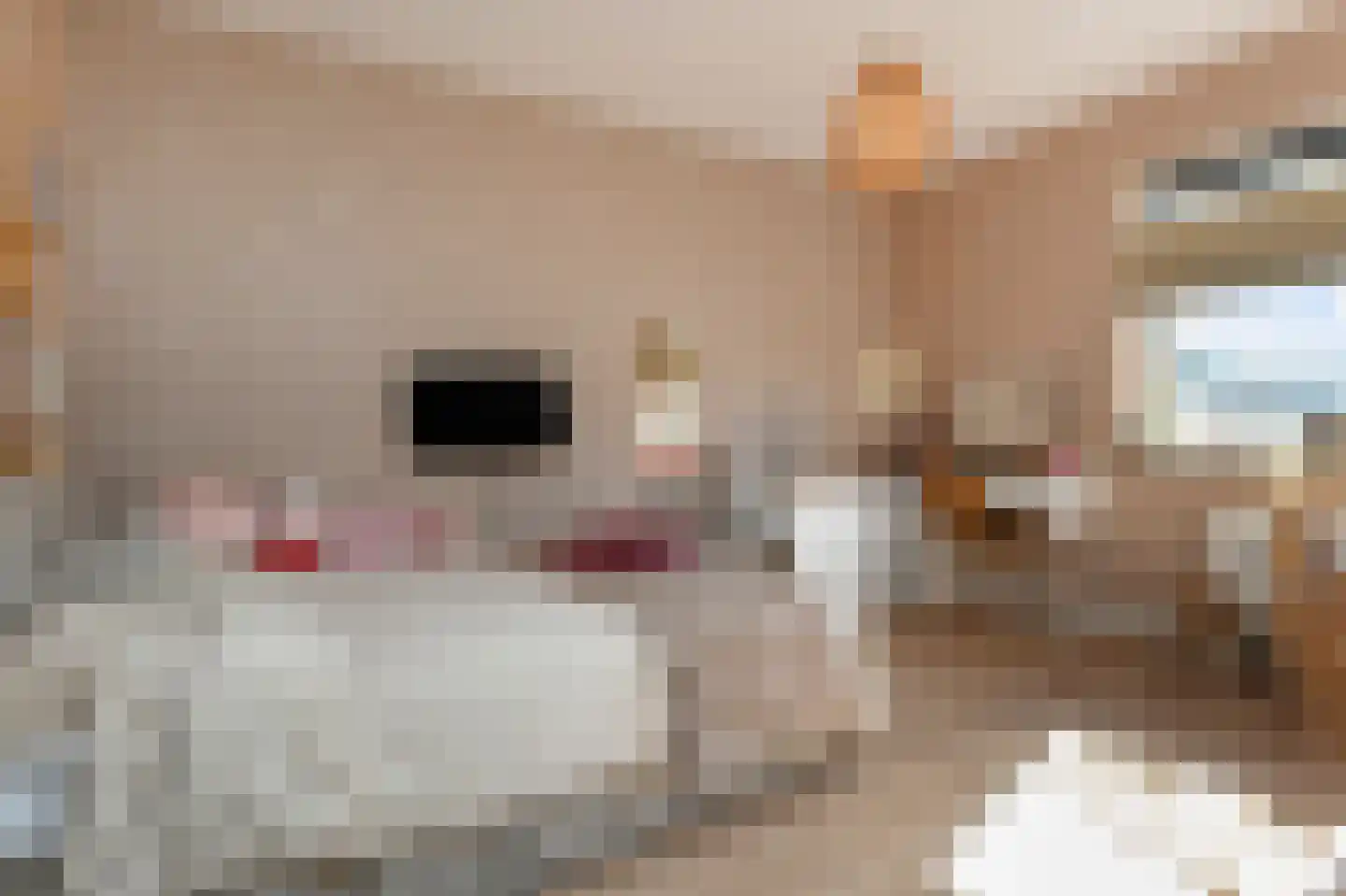 Hof van Leiden 16 Nootdorp thumbnail 34