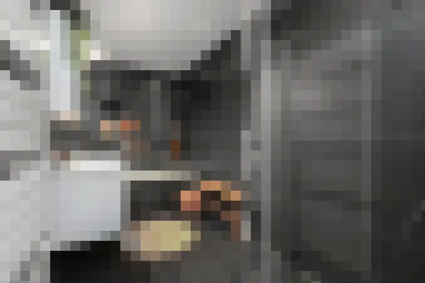 Hof van Leiden 16 Nootdorp thumbnail 37