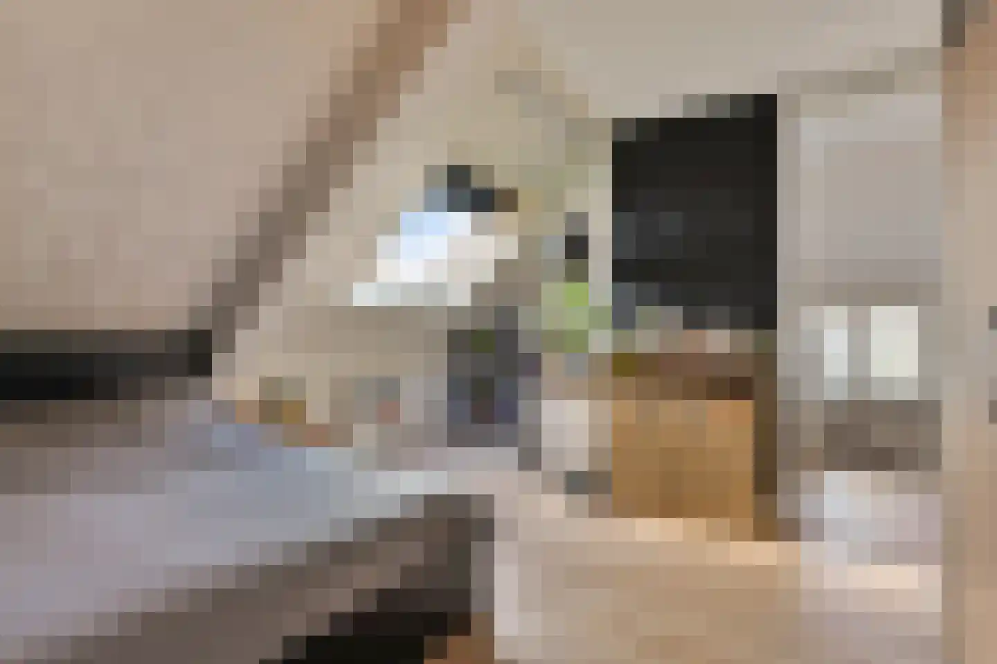 Hof van Leiden 16 Nootdorp thumbnail 51