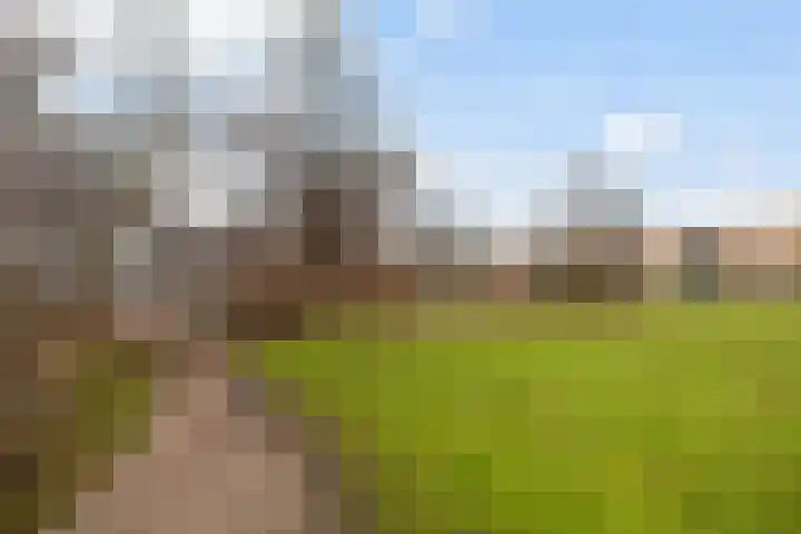 Hof van Scheveningen 20 Den Haag thumbnail 12