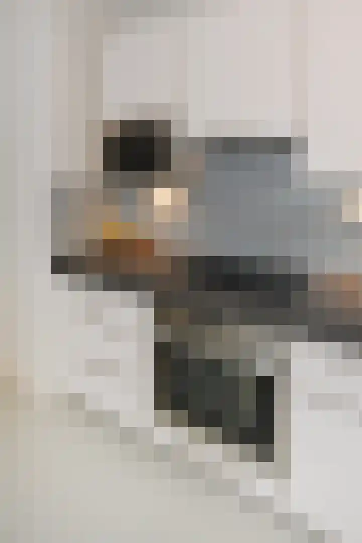 Hof van Scheveningen 20 Den Haag thumbnail 16