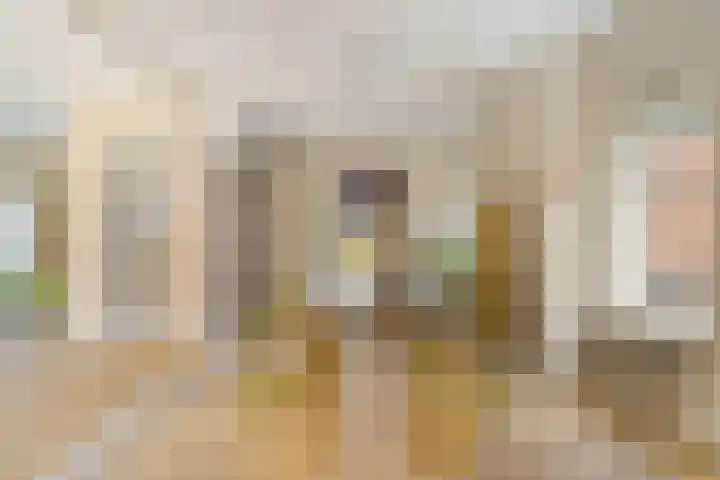 Hof van Scheveningen 20 Den Haag thumbnail 25