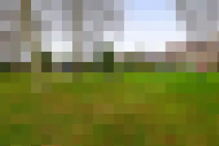 Hof van Scheveningen 20 Den Haag thumbnail 31