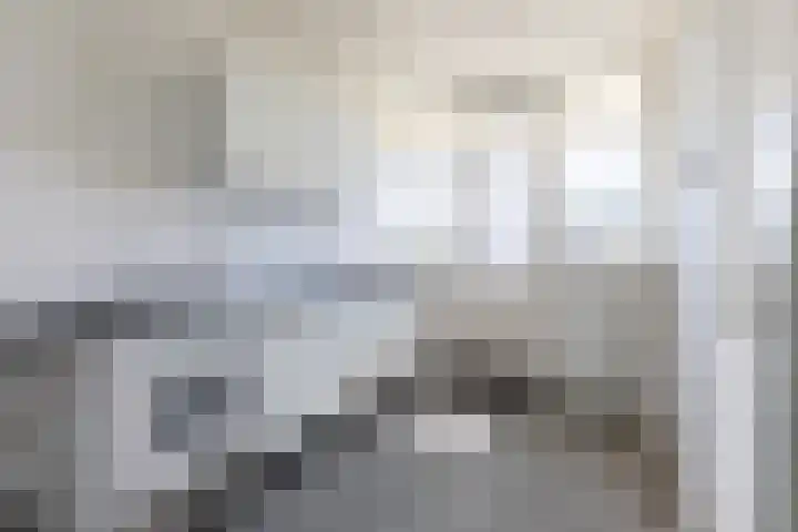Hof van Scheveningen 20 Den Haag thumbnail 33