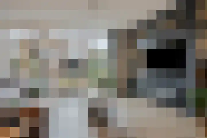 Hof van Scheveningen 20 Den Haag thumbnail 8