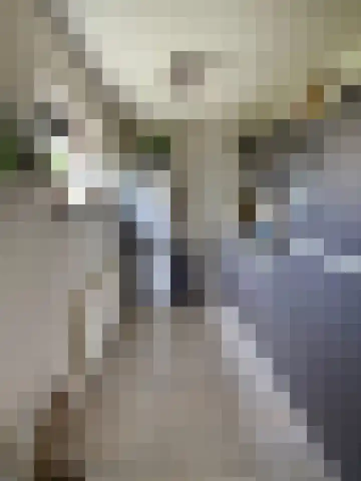 Hof van Spiegeling 1 Delft thumbnail 8