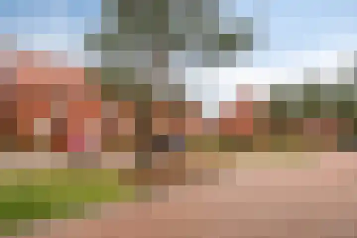 Hof van Tongerloo 20 Riel thumbnail 12
