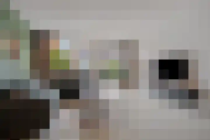 Hof van Tongerloo 20 Riel thumbnail 16