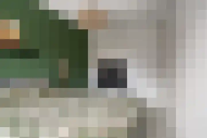 Hof van Tongerloo 20 Riel thumbnail 25