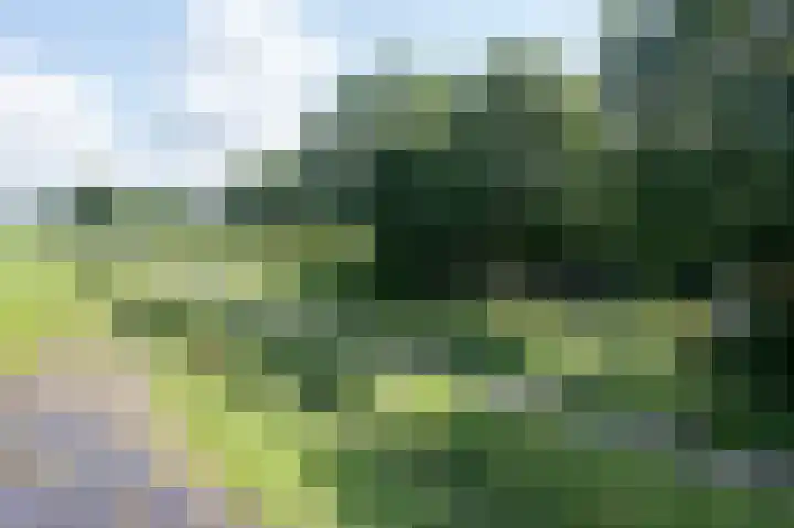 Hof van Tongerloo 20 Riel thumbnail 42