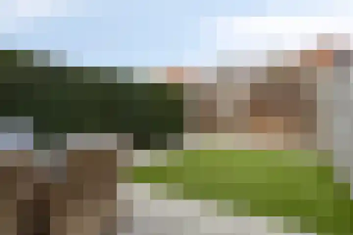 Hof van Tongerloo 28 Riel thumbnail 27