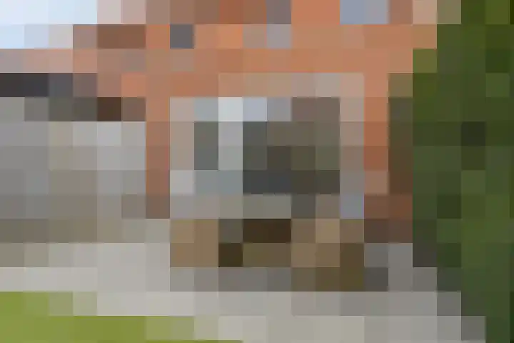 Hof van Tongerloo 28 Riel thumbnail 29