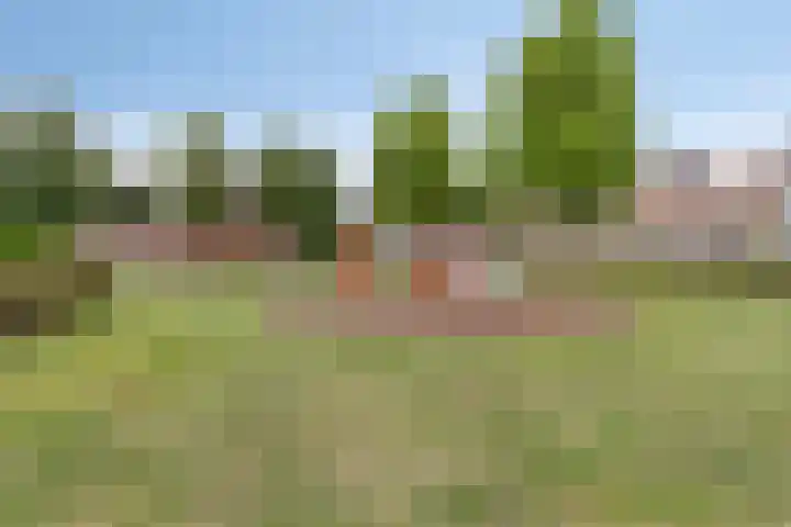 Hof van Tongerloo 28 Riel thumbnail 31