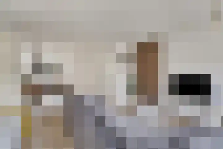 Hof van Tongerloo 28 Riel thumbnail 4