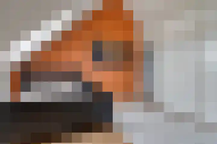 Hof van Tongerloo 28 Riel thumbnail 7