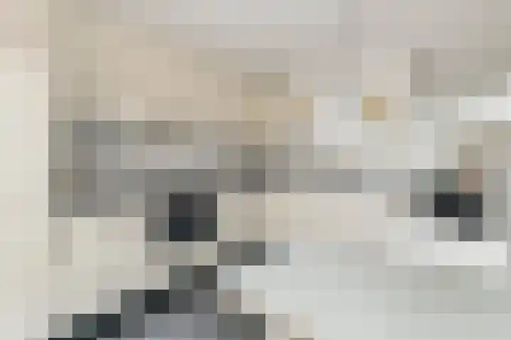 Hof van Wederden 7 Wierden thumbnail 14