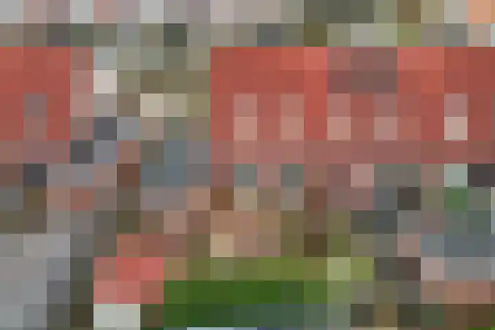 Hof van Wederden 7 Wierden thumbnail 33