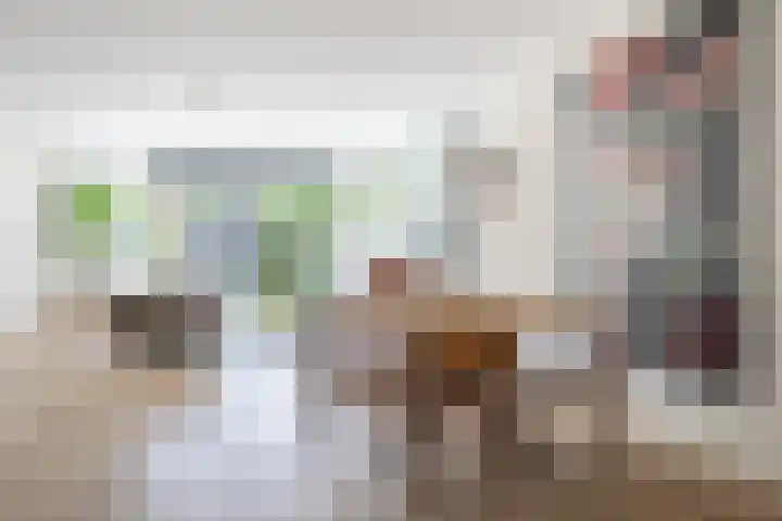 Hof van Wesse 33 Zutphen thumbnail 10
