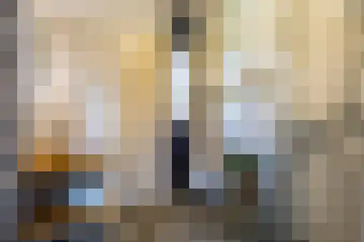 Hof van Wesse 33 Zutphen thumbnail 19